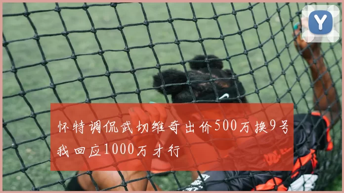 怀特调侃武切维奇出价500万换9号我回应1000万才行